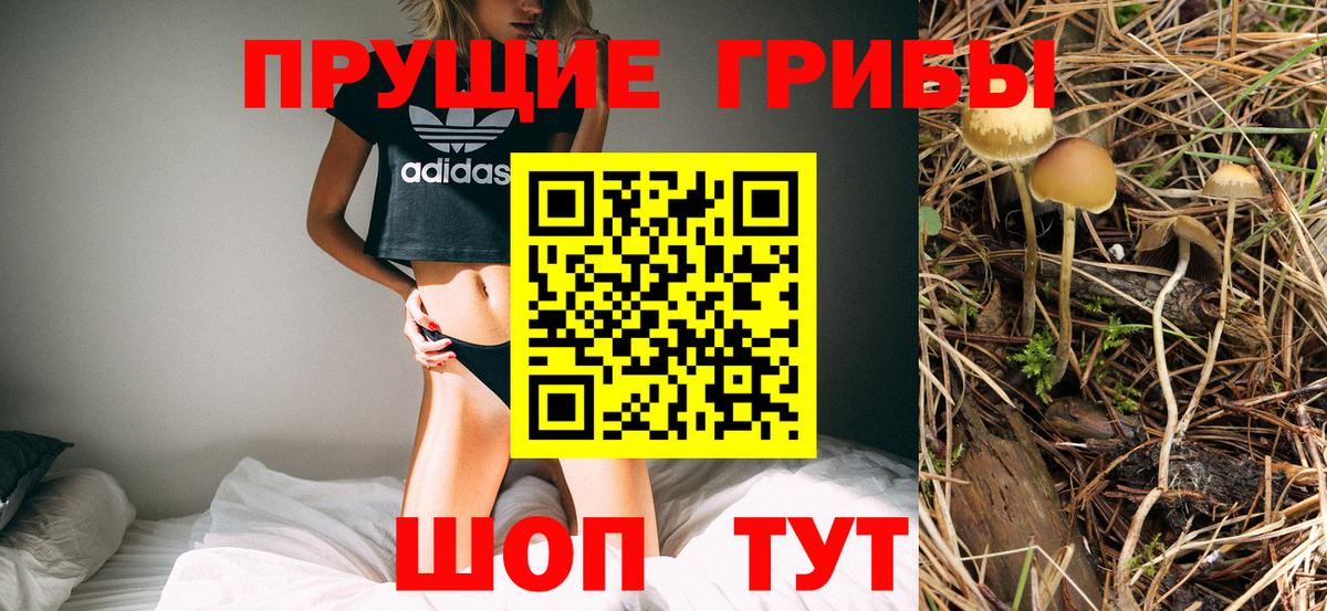Галлюциногенные грибы MAGIC MUSHROOMS Лысьва