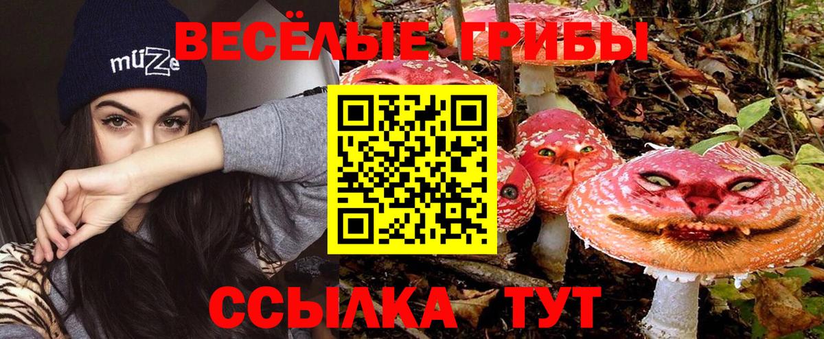 Лысьва  Галлюциногенные грибы Cubensis  Вход с VPN  Псилоцибиновые грибы Cubensis 